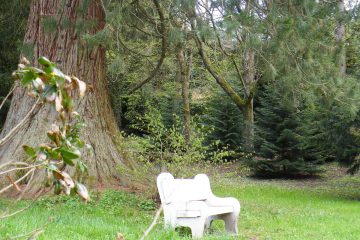 © Arboretum - C.Rosnet