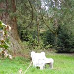 © Arboretum - C.Rosnet