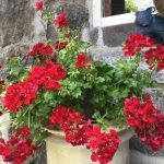 © La tour aux Chausses - Touzac Andrée