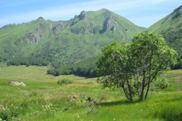 © Réserve naturelle de Chastreix Sancy - DR Office de tourisme du Sancy