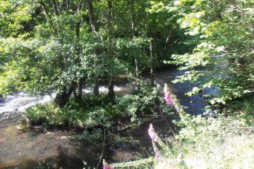 © le long de la Sioule - Office de Tourisme des Combrailles