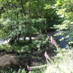 © le long de la Sioule - Office de Tourisme des Combrailles