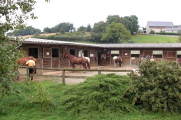 © Ayacheval - Brunet