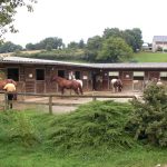 © Ayacheval - Brunet