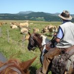 © Ayacheval - Brunet