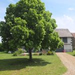 © Gîte Sources et Volcans - Faugeron Cécile