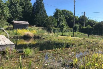 © La Picote - Amé Élodie