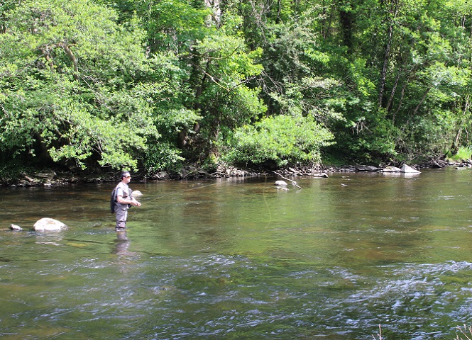 Rivières